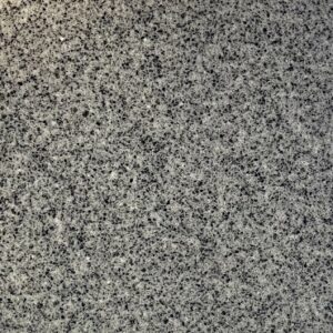 Granito poli Gris moucheté 
29,85x29,85 cm - ép. 6,6 mm