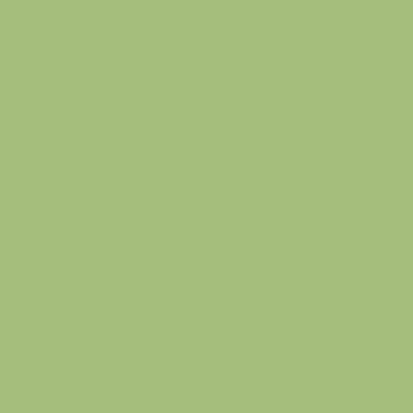 Grès émaillé Vert Pistache mat
20x20 cm - ép. 5 mm