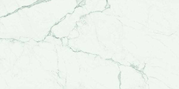 Grès cérame poli Blanc imitation marbre
58x116 cm - ép. 9,5 mm