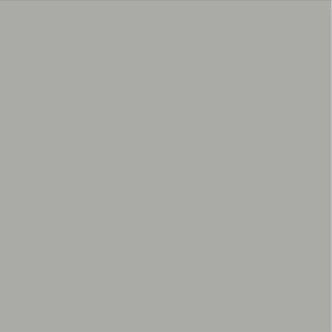Grès Cérame Gris
29,7x29,7 cm - ép. 8,3 mm
